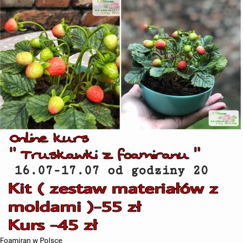 49f29ba7cc49fd0ba3d11109cd98ecd6