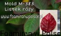 d2a9058e317dde6355fd34484de930b7