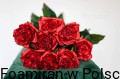 IMG_1901.jpeg