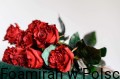 IMG_1895.jpeg
