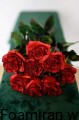 IMG_1900.jpeg