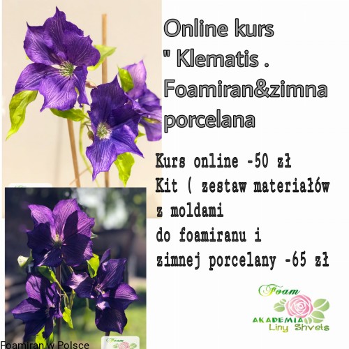 911adce1c51eff1e231346a473e26069