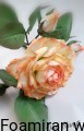a6a4cbcc17777d626f081f33ef22d0ec